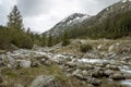 In The Pirin mountain, Bulgaria Royalty Free Stock Photo