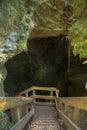 Piripiri cave at New Zealand Royalty Free Stock Photo
