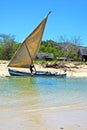 pirogue beach seaweed iindian ocean madagascar home