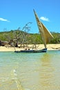 pirogue beach seaweed indian madagascar