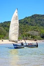 pirogue beach seaweed in indian ocean madagascar