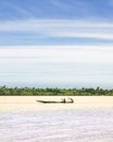 A pirogue navigates on the river niger