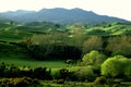 Pirongia Landscape-New Zealand