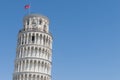 Pisa: the leanig tower in Piazza dei Miracoli field Royalty Free Stock Photo