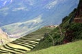 Pisac peru ruins