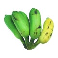 Pisang Awak banana isolated on white background Royalty Free Stock Photo