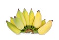 Pisang Awak banana isolated on white Royalty Free Stock Photo