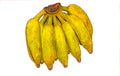 Pisang Awak banana on white background Royalty Free Stock Photo