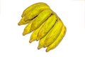 Pisang Awak banana on white background Royalty Free Stock Photo