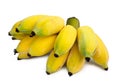 Pisang Awak banana on white background. clipping path Royalty Free Stock Photo