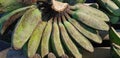 Pisang Kepok or kepok banana (musa acuminata) or yellow local banana in Indonesian the market ready to eat