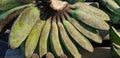 Pisang Kepok or kepok banana (musa acuminata) or yellow local banana in Indonesian the market ready to eat