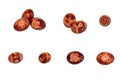 pisanka - Easter eggs Royalty Free Stock Photo