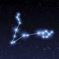 Pisces constellation map in starry sky