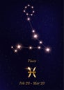 Pisces constellation vector poster template