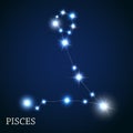 Pisces Zodiac Sign of the Beautiful Bright Stars Royalty Free Stock Photo