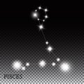 Pisces Zodiac Sign of the Beautiful Bright Stars Royalty Free Stock Photo