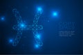 Pisces Zodiac sign wireframe Polygon frame structure, Fortune teller concept design illustration Royalty Free Stock Photo