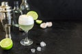 Pisco Sour Cocktail