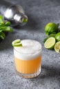 Pisco sour cocktail. Whiskey with lime, egg white, syrup in glass on grey. Vertical shot Royalty Free Stock Photo