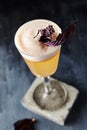 Pisco Sour with Rhubarb Royalty Free Stock Photo