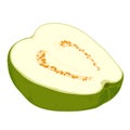 pise fresh guava. Vector illustration