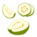 pises fresh guava. Vector illustration