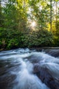 Pisgah Cascade 2 Royalty Free Stock Photo