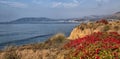 Pismo Beach seaside cliffs Royalty Free Stock Photo