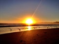 Pismo Beach Royalty Free Stock Photo