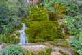 Pisoaia waterfall in the Carpathian mountains, Apuseni, Romania, Alba County Royalty Free Stock Photo