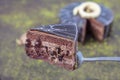 Pistachio cake sliced on white wooden background. Homemade Chocolate Cake with Dark Chocolate Glaze and Pistachios Nuts Royalty Free Stock Photo