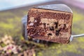 Pistachio cake sliced on white wooden background. Homemade Chocolate Cake with Dark Chocolate Glaze and Pistachios Nuts Royalty Free Stock Photo