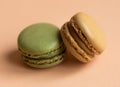 Pistachio and hazelnut macaroon on a pastel background Royalty Free Stock Photo