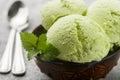 Pistachio homemade ice cream with mint leaves Royalty Free Stock Photo