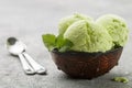 Pistachio homemade ice cream with mint leaves Royalty Free Stock Photo