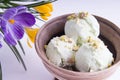 Pistachio ice cream in an earthenware bowl Royalty Free Stock Photo