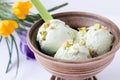 Pistachio ice cream in an earthenware bowl Royalty Free Stock Photo