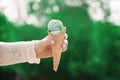 Pistachio ice cream in the hands of a girl. Waffle cup and ice c Royalty Free Stock Photo