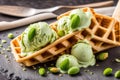 Pistachio Ice Cream Scoops with Waffles Nuts and Fresh Mint Royalty Free Stock Photo