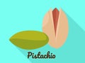 Pistachio icon, flat style