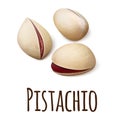 Pistachio icon, realistic style