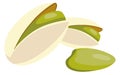 Pistachio icon. Tasty nut. Cartoon food snack