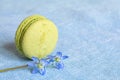 Pistachio macaron and spring flower on a linen napkin. Macarons or macaroons is French or Italian dessert