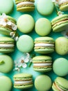 Pistachio macarons on light blue background. Sweet french cookies, matcha macaroons assortment for ads, menu, printed products.