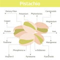 pistachio nutrient of facts and health benefits, info graphic