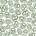 Pistachio nuts, background set. collection icon pistachio nuts. Vector