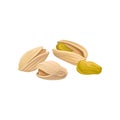 Pistachio nuts in beige shell. Organic and healthy product. Concept of food and nutrition. Realistic hand drawn design Royalty Free Stock Photo