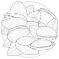 Pistachio nuts.Coloring book antistress for children and adults