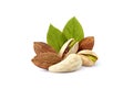 Pistachio nuts wits cashew, almonds and leaves in closeup isolated